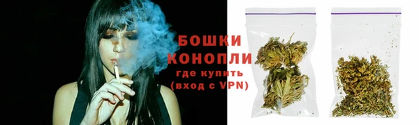каннабис Белокуриха