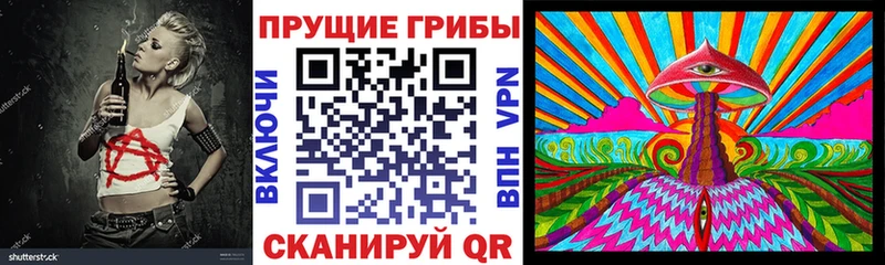 дарнет шоп  Кувандык  Псилоцибиновые грибы Psilocybine cubensis 